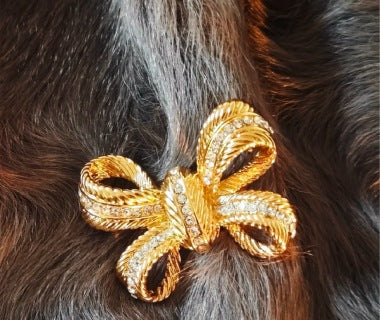 Dior Aurelia Loop Bow Brooch